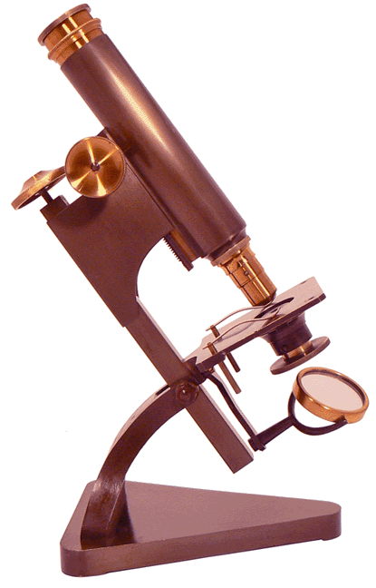 Beck Star Microscope Le Compendium - Beck star microscope nouveau modèle - Beck's new model ...